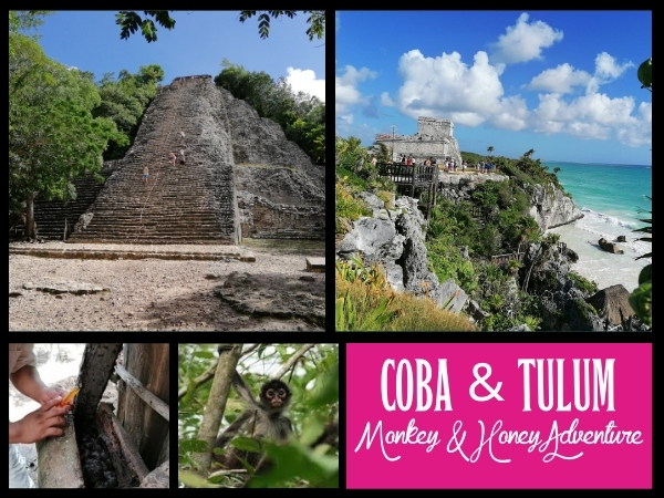 Tulum & Coba, Monkey & Mayan Honey Adventure - Full day of activities supporting local communities tour unrated (all ratings for this guide) Mayan Ruins, Biking, Monkey Searching, Mayan Bee Honey, Cenote Swim, Mayan Communities and Mayan Lunch