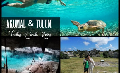 Akumal & Tulum Adventure Full-Day Private Tour by Tulaka Mexico