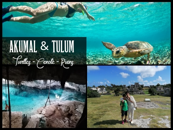 Akumal & Tulum Adventure Full-Day Private Tour by Tulaka Mexico